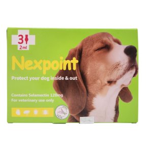 넥스포인트 L(10~20kg)(3P) [10+1]