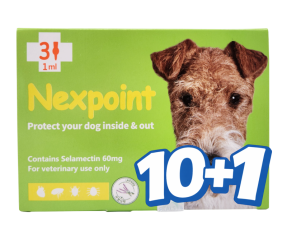 넥스포인트 M(5~10kg)(3P) [10+1]