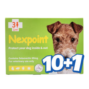 넥스포인트 M(5~10kg)(3P) [10+1]