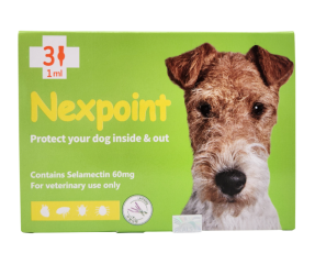 넥스포인트 M(5~10kg)(3P) [10+1]