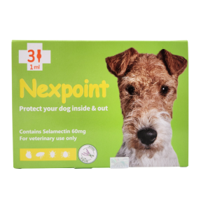 넥스포인트 M(5~10kg)(3P) [10+1]