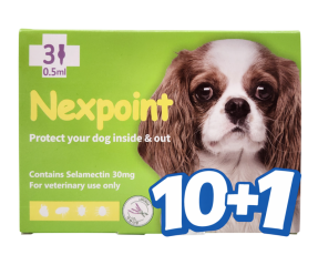 넥스포인트 S(2.5~5kg)(3P) [10+1]