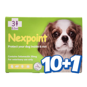 넥스포인트 S(2.5~5kg)(3P) [10+1]