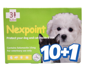 넥스포인트 SS(2.5kg 이하)(3P) [10+1]