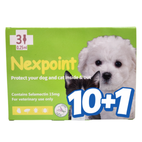 넥스포인트 SS(2.5kg 이하)(3P) [10+1]