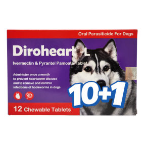 다이로하트 L(23~45kg)(12정) [10+1]