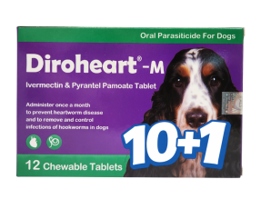 다이로하트 M(12~22kg)(12정) [10+1]