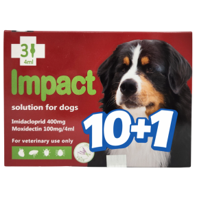 임팩트 독 XL(25~40kg)(3P) [10+1]