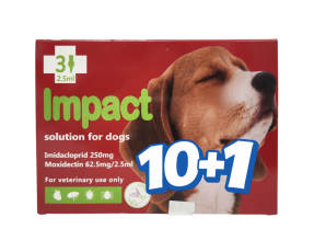 임팩트 독 L(10~25kg)(3P) [10+1]