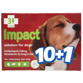 임팩트 독 L(10~25kg)(3P) [10+1]