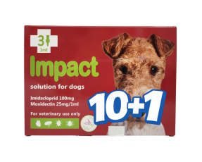 임팩트 독 M(4~10kg)(3P) [10+1]