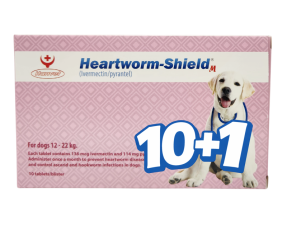 하트웜쉴드 M(12~22kg)(10정) [10+1]