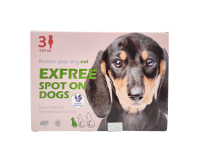 엑스프리 스팟온 독 S(2~10kg)(3P) [교환/반품불가]