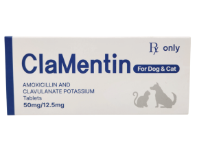 클라멘틴(100정) [교환/반품불가] [판매기록부 기록]