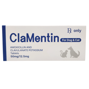 클라멘틴(100정) [교환/반품불가] [판매기록부 기록]