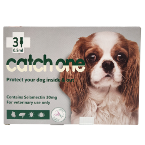 캐치원 S (2.5~5kg)(3P) [교환/반품불가]