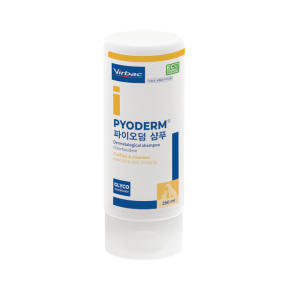 파이오덤 샴푸(250ml)