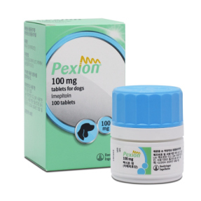 펙시온 100mg(100정)