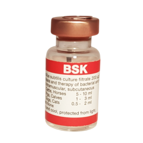 비에스케이(BSK)(10ml)