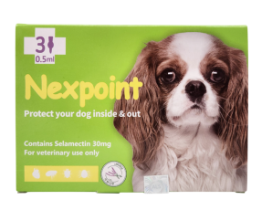 넥스포인트 S (2.5~5kg)(3P) [교환/반품불가]