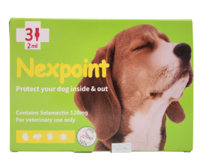 넥스포인트 L (10~20kg)(3P) [교환/반품불가]